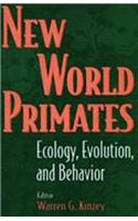 New World Primates