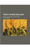 Trout in New Zealand; Where to Go and How to Catch Them