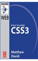 Picture CSS3: (Visualizing the Web)
