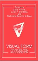Visual Form: Analysis and Recognition