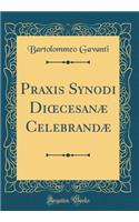 Praxis Synodi Di?cesanæ Celebrandæ (Classic Reprint)