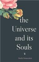 The Universe and its Souls
