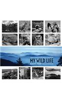 My Wild Life