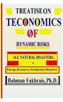 Teconomics oF Dynamic Risks