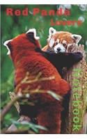 Red Panda Lovers Notebook: Journal Notebook with Blank Lined Pages for Red Panda Lovers Two Red Panda Greeting Each Other