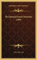 The Diplopod Family Striariidae (1899)