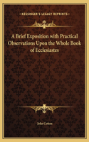 A Brief Exposition with Practical Observations Upon the Whole Book of Ecclesiastes: (English)