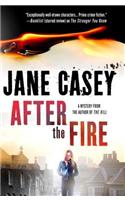 After the Fire: A Maeve Kerrigan Thriller(6 Maeve Kerrigan Novels)