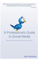 Professionals Guide to Social Media