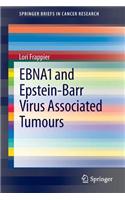 EBNA1 and Epstein-Barr Virus Associated Tumours: (SpringerBriefs in Cancer Research)