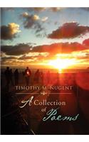 Timothy M. Nugent
