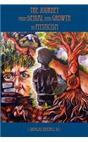 Journey from Denial Into Growth to Mysticism