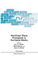 Nonlinear Wave Processes in Excitable Media