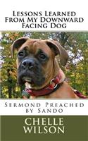 Lessons Learned From My Downward Facing Dog: Sermond Preached by Sando