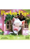 2019 Pocket Pigs Mini Wall Calendar