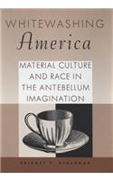 Whitewashing America: Material Culture and Race in the Antebellum Imagination