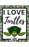 I Love Turtles