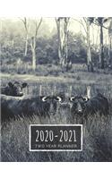 Two Year Planner 2020-2021