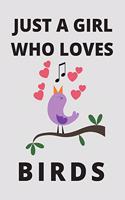 Just a Girl Who Loves Birds Notebook: Cute Bird Lover Gift Blank Notebook (6x9), 120 Pages