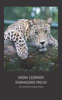 Snow Leopard