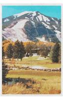 Aspen
