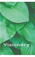 Visionary