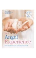 The Angel Experience