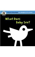 What Does Baby See?