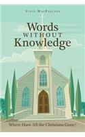 Words Without Knowledge: Where Have All the Christians Gone?