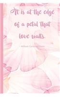 It is at the edge of a petal that love waits.