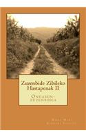 Zuzenbide Zibileko Hastapenak II
