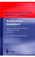 Numerical Flow Simulation II