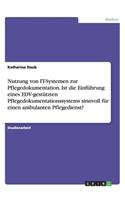 Nutzung von IT-Systemen zur Pflegedokumentation. Ist die Einführung eines EDV-gestützten Pflegedokumentationssystems sinnvoll für einen ambulanten Pflegedienst?