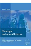 Norwegen Und Seine Gletscher