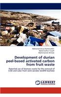 Development of durian peel-based activated carbon from fruit waste