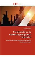 Probl?matique Du Marketing Des Projets Industriels