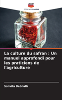 La culture du safran