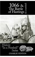 1066 & the Battle of Hastings in a Nutshell