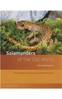 Salamanders of the Old World