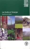 Les forets et l'energie