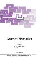 Cosmical Magnetism
