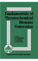 Fundamentals of Thermochemical Biomass Conversion