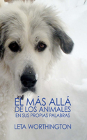 El Más Allá de los Animales
