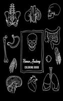 Human Anatomy Coloring Book