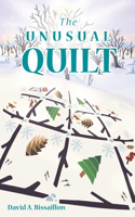 Unusual Quilt