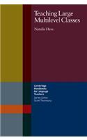 Teaching Large Multilevel Classes: (Cambridge Handbooks for Language Teachers)