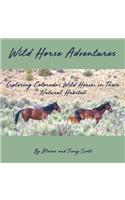 Wild Horse Adventures
