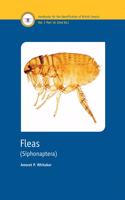 Fleas