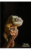 150 Pages College Ruled: Beautiful Chameleon Photo Notebook, 6 x 9 Lined Notebook for Reptile Lovers