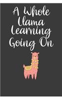 A Whole Llama Learning Going On: First Day of School Adventure Book